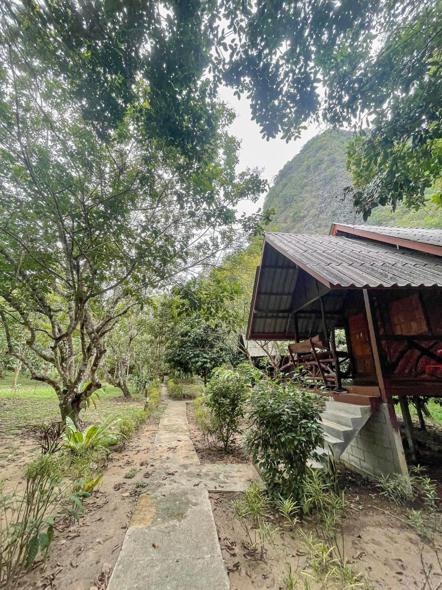 Khao Sok Green Mountain View Khao Sok National Park Luaran gambar