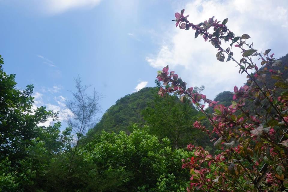 Khao Sok Green Mountain View Khao Sok National Park Luaran gambar