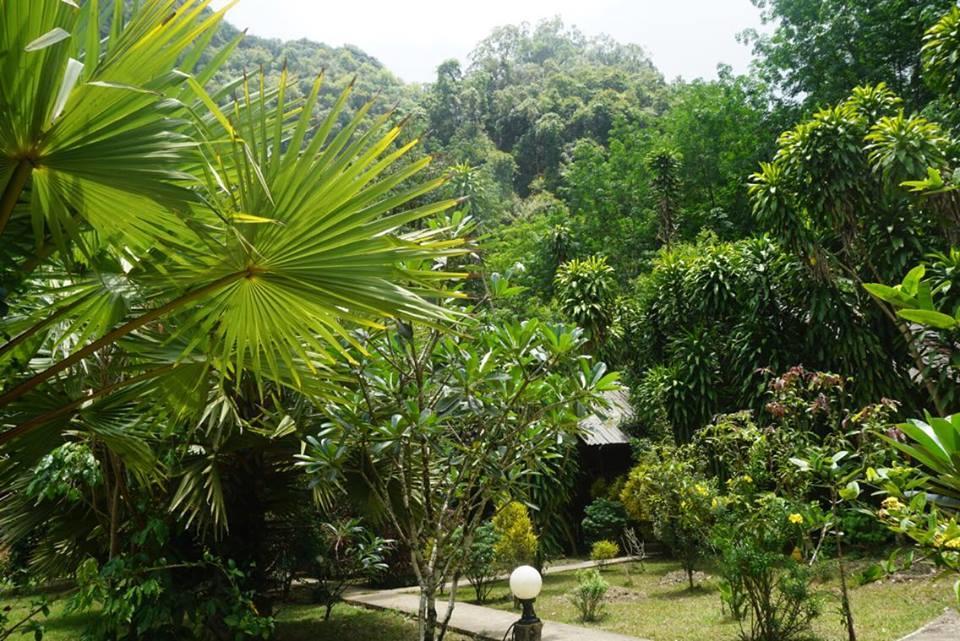 Khao Sok Green Mountain View Khao Sok National Park Luaran gambar