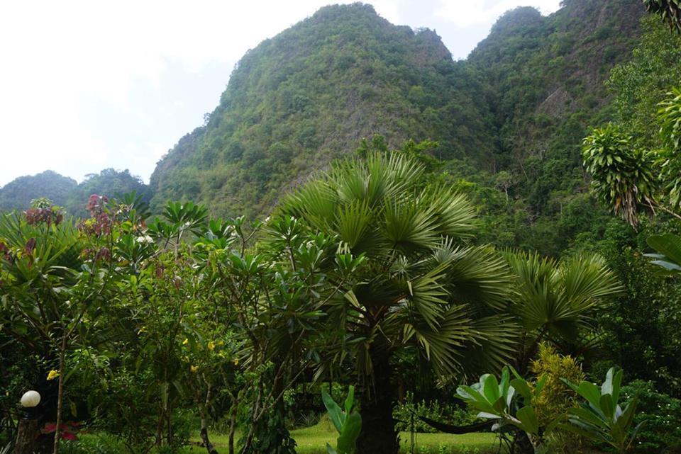 Khao Sok Green Mountain View Khao Sok National Park Luaran gambar